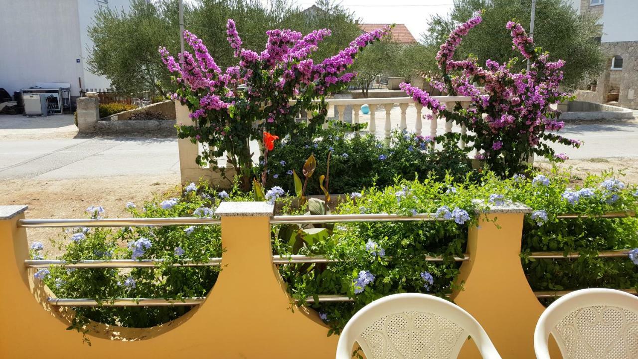 Marina Apartamento Biograd Na Moru Exterior foto